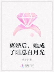 小说离婚后我成了总裁的白月光